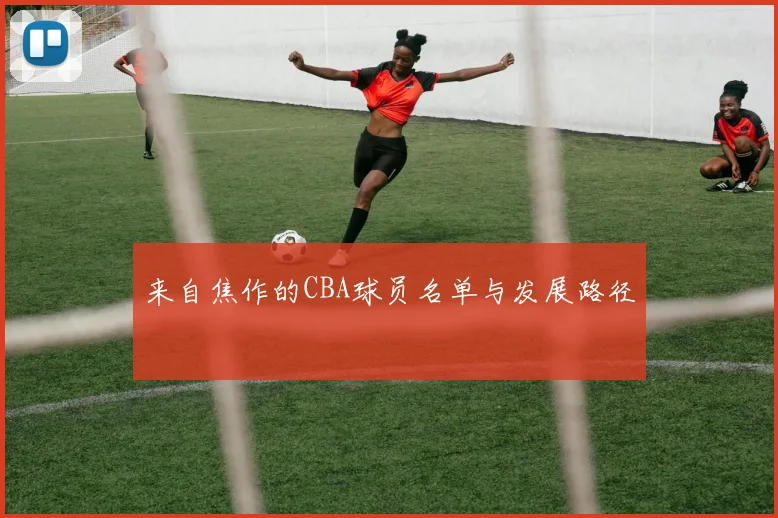 来自焦作的CBA球员名单与发展路径