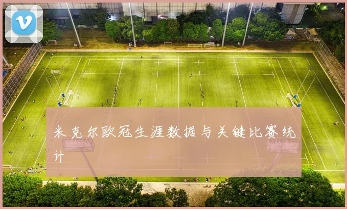 米克尔欧冠生涯数据与关键比赛统计