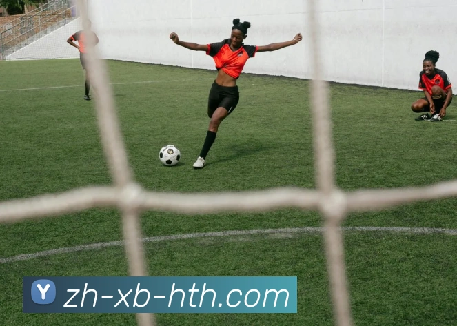 华体会登录入口服务体系