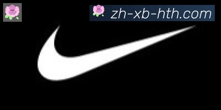 华体会官方网站登录入口合作伙伴